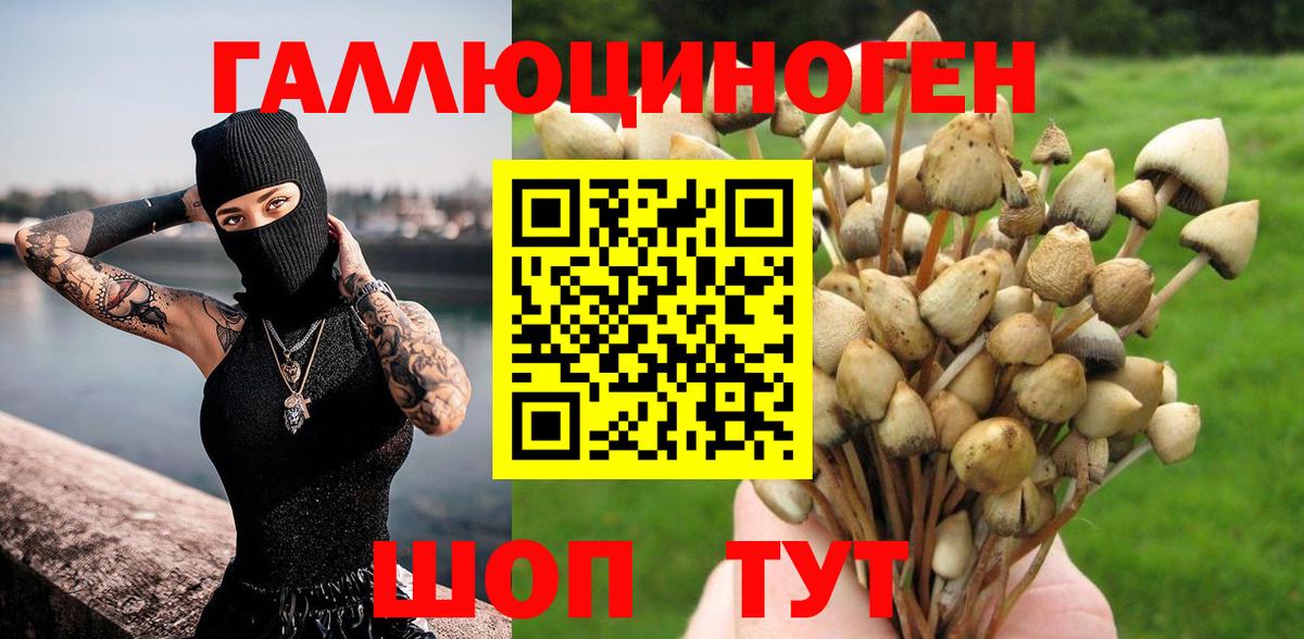 Галлюциногенные грибы Magic Shrooms Саратов