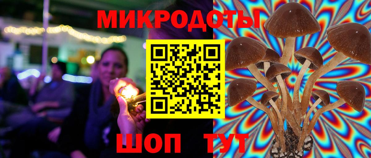 Псилоцибиновые грибы GOLDEN TEACHER  Вход с VPN  Саратов  Псилоцибиновые грибы MAGIC MUSHROOMS 